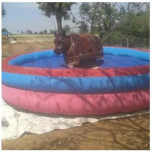 Bouncy Bull Ride